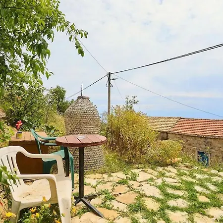 With Parking Space - Mljet - 22321 * Babino Polje